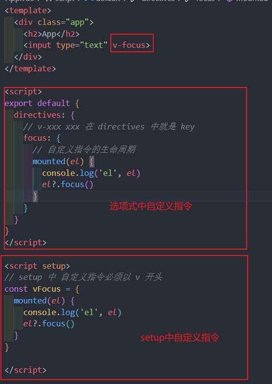 局部自定义指令